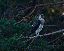 DSC05270_DxO_DxO_2048