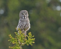 DSC06453_2048_TS