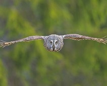 DSC06565_2048_TS 1