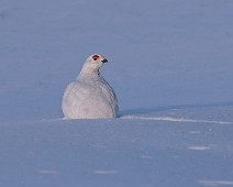 DSC08865_2048_TS